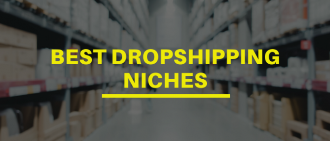 Best Dropshipping Niches