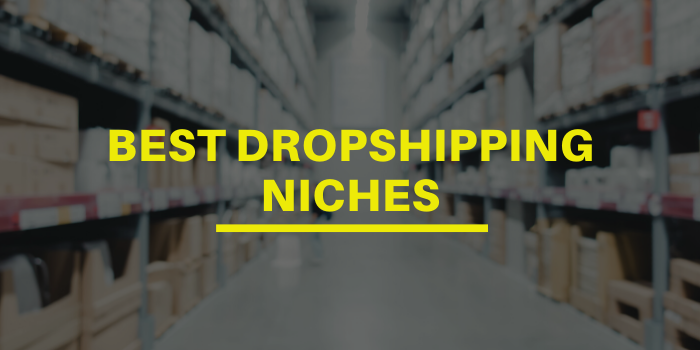 25 Best Dropshipping Niches
