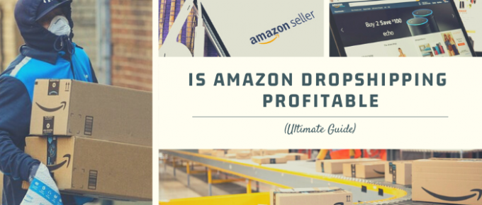 Is Amazon Dropshipping Profitable