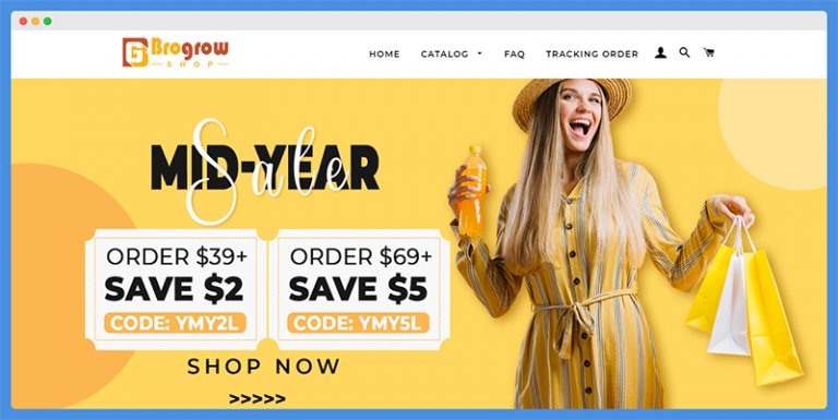 22 Best Dropshipping Websites Examples 2024
