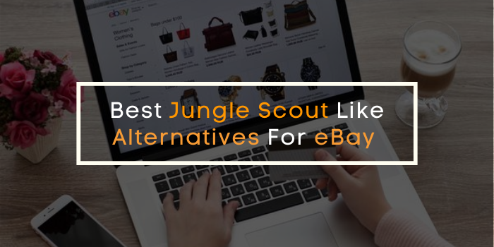 5 Best Jungle Scout Like Alternatives For eBay