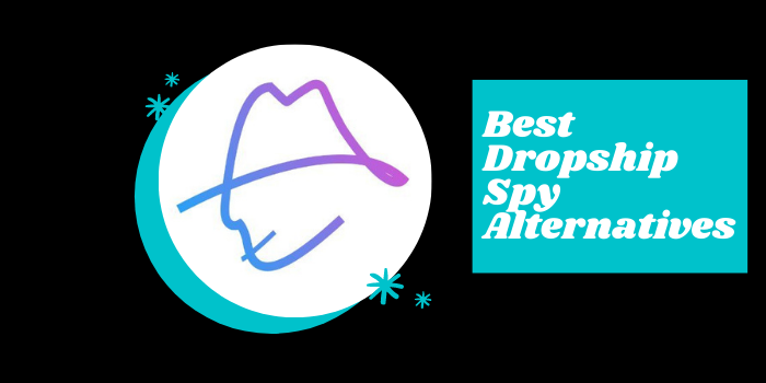 Best Dropship Spy Alternatives